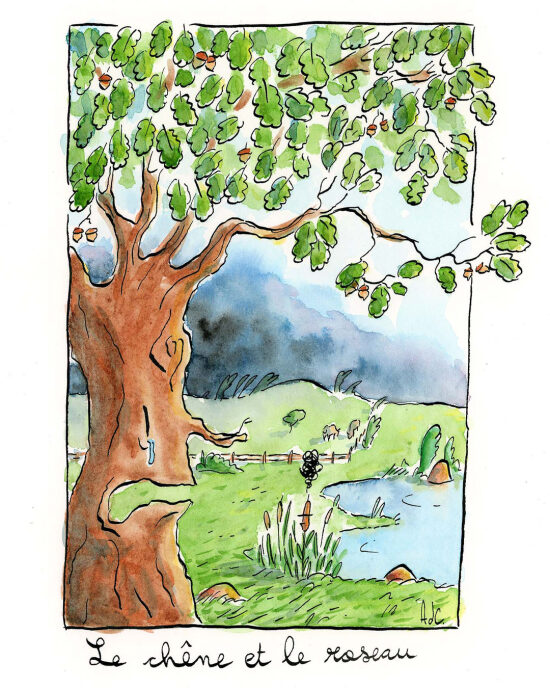 Arbre à feuilles vertes
