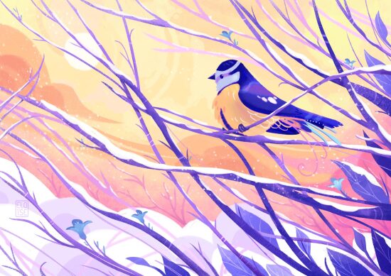 Mésange bleue