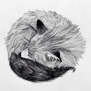 lune fanfan-illustrateur