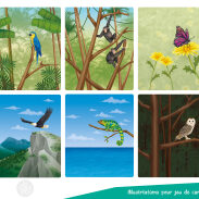 Animaux et nature en illustrations