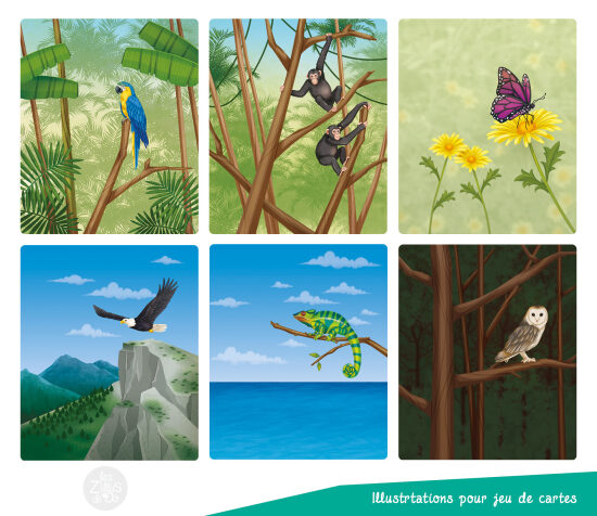 Animaux et nature en illustrations