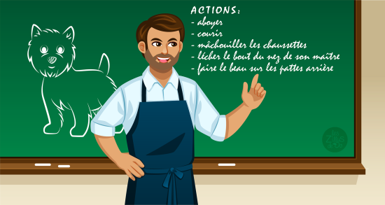 Appel à l'interaction canine