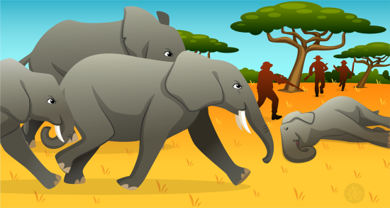 Éléphants dans savane africaine