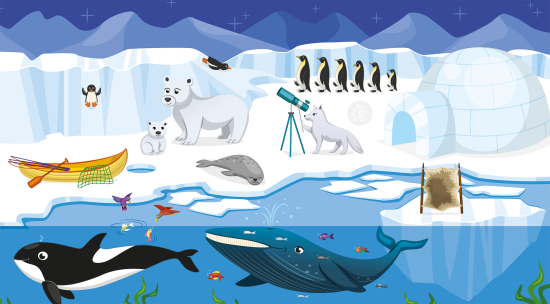 Ours polaire, dauphin, phoque, baleine, pingouin, canot, iceberg