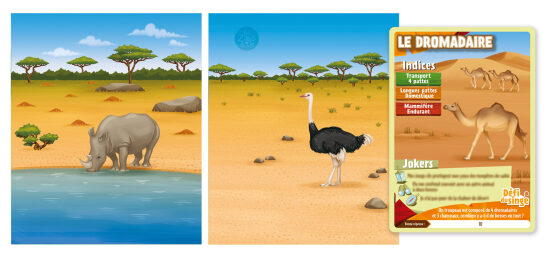 Rhinocéros et oiseau à l'eau dans le désert