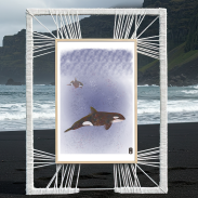 Orcas