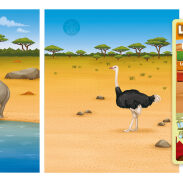 Rhino et ostrich dans le désert africain