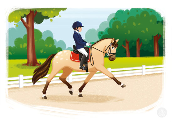Cavalier sur son cheval au galop
