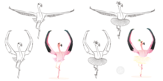 Flamants roses en ballet