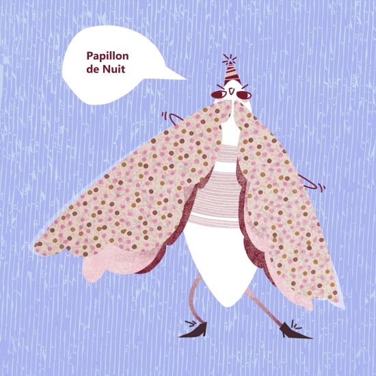 Papillon de nuit