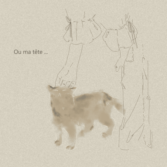 Chat et homme