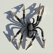 Araignée en plastique