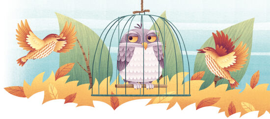 Oiseau dans une cage avec compagnons